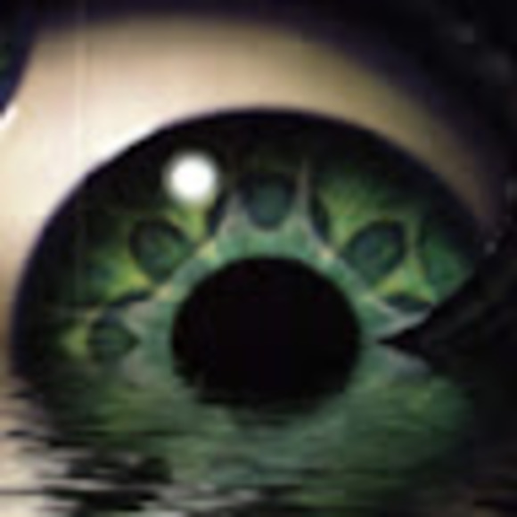 Meet your Posher, Nick - Picture 1 of 1